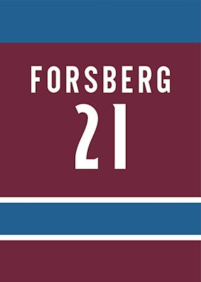 Camisa Peter Forsberg