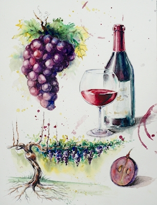 From a notebook - Wine
