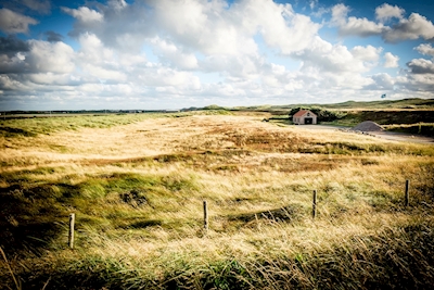 House in the Dutch dunes