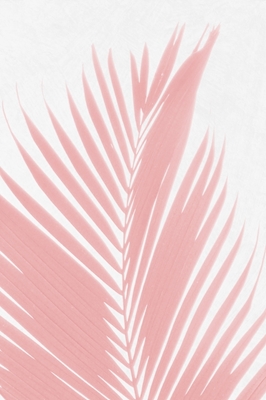 Vaaleanpunaiset palmunlehdet III