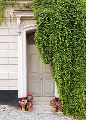 Rideau de feuilles devant la porte
