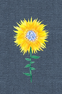 Sonnenblume auf Blau