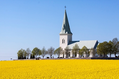 Kostel Södra Åby - řepkové pole