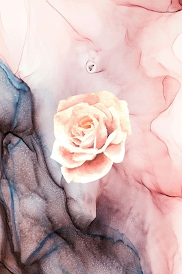 Rosa in Marmor