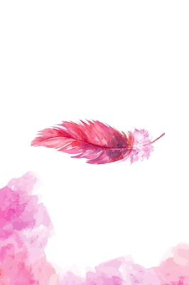 Feather of the rose