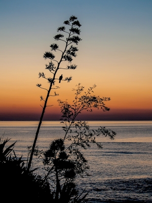 Mediterrane zonsopgang