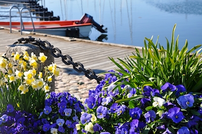 Spring in Skärhamn