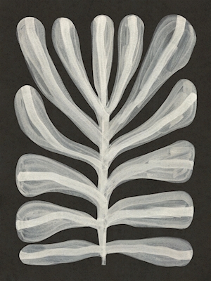 Monochrome Plant