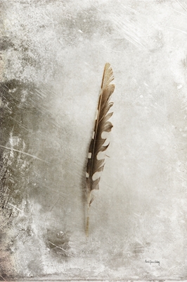 Standing Feather