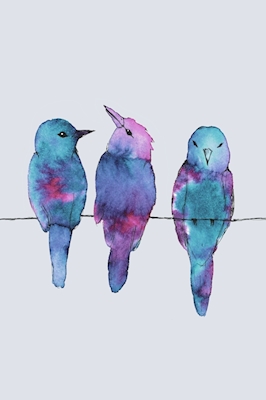 Tre fåglar på en tråd