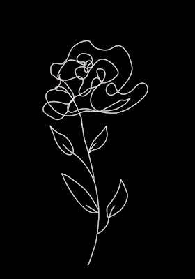 A Rosa