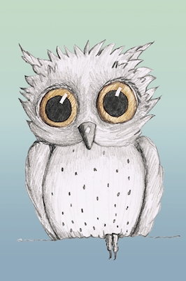  Cute little owl