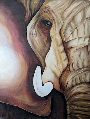 Éléphant Dumbo