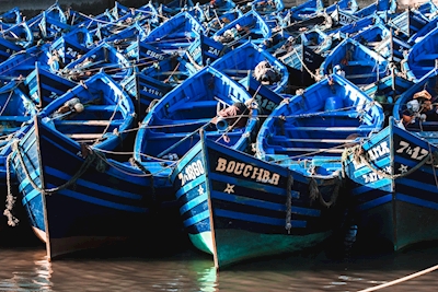 Siniset veneet
