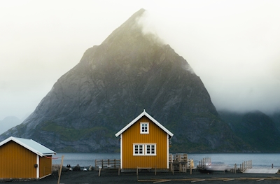 Seul parmi les fjords