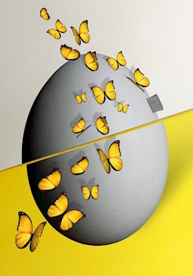 Egg Butterflies / yellow