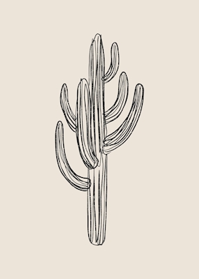 Kaktus sort og hvid