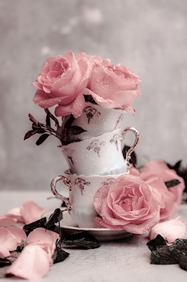 Roses en tasses / Pâte vintage