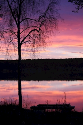 Violetti aamu järven rannalla
