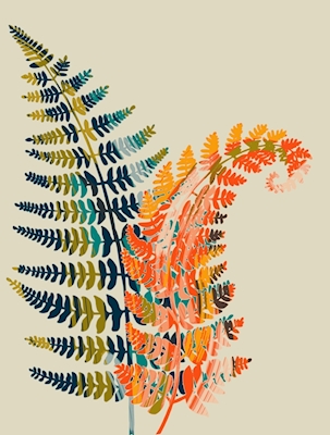 Kolorowe liście paproci