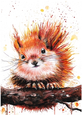 Akvarelli söpö orava 