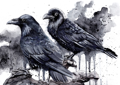 Watercolor Crows  - Raven