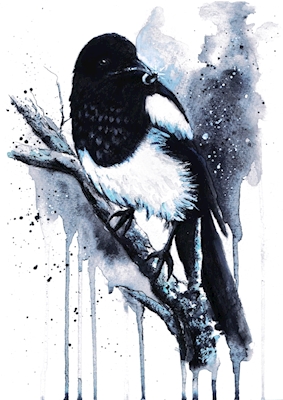 Tyvagtig Magpie Akvarel 