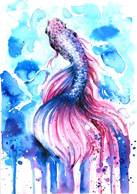 Siamese Fish watercolor 