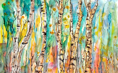 in the birch forest