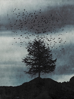 Träd och flock av fåglar