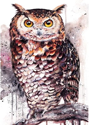 Watercolor Owl 