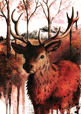 Deer - King of the forest