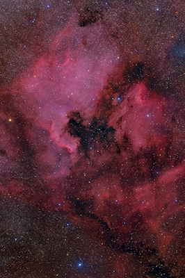 A Nebulosa da América do Norte
