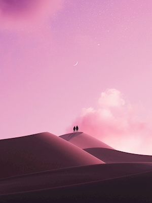 Bajo el cielo del desierto