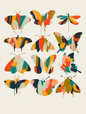 Färgglada fjärilar