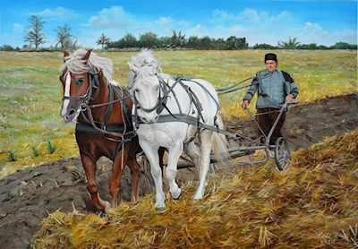 plowing with horses