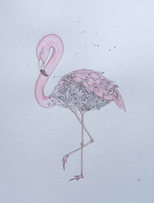 Bobby the Flamingo