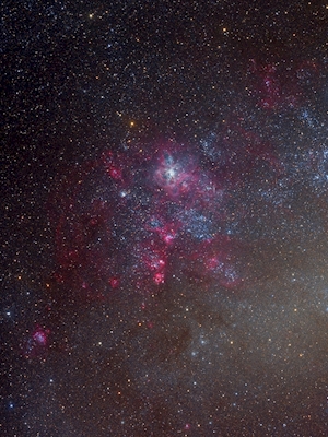 Tarantelnebel NGC 2070