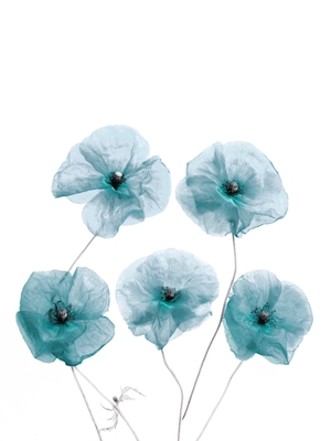 Fleurs bleues fragiles d’art
