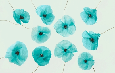 Blue Green Fine Art Flowers