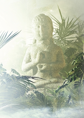 Buddha jungle