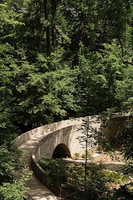 Ponte Botanico Colorato