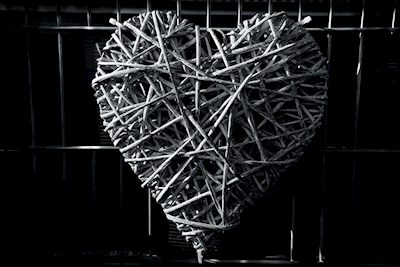 The braided heart