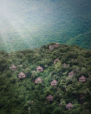 Dům v džungli