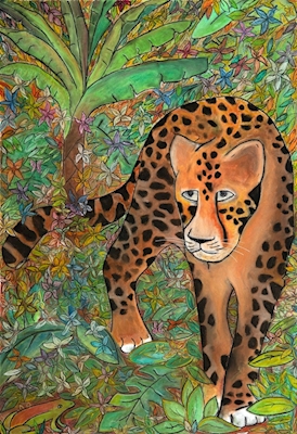 Leoparder 