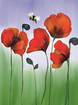 Poppies and a Bee