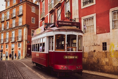 I colori di Lisbona 