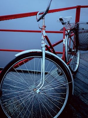 The red bicycle