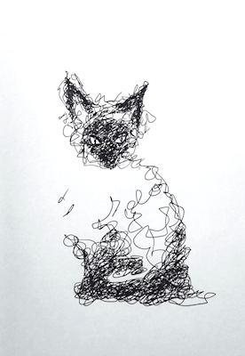 Scribbleartcat