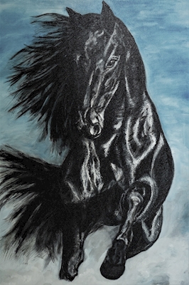 czarny koń